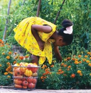 girl picking veggies